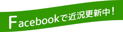 Facebookで近況更新中！